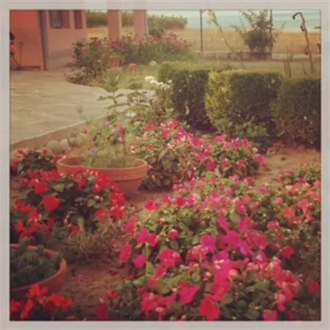 Апарт-отель Dream Bay Family 4*